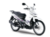 Lái xe máy 125cc