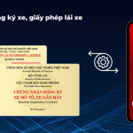 Cách tích hợp giấy phép lái xe vào VNEID